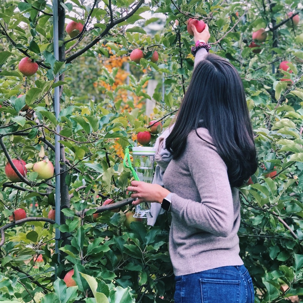 Meet your Posher, Heidi